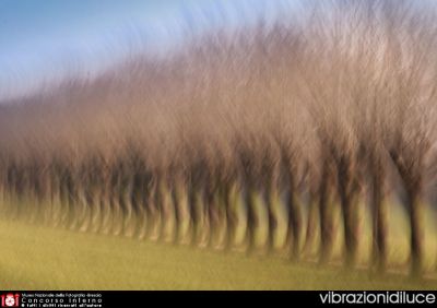 6 Giulia Bertoletti - vibrazioni di luce